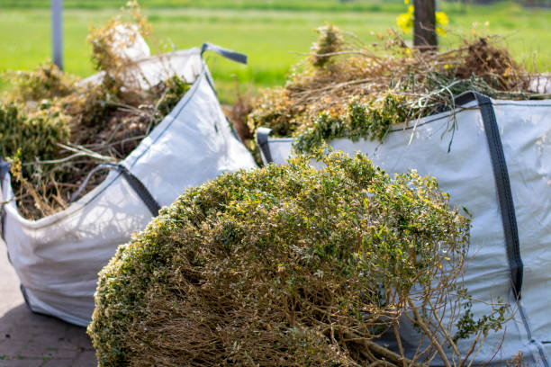 Debris Removal in Tipton, IN